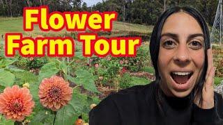 Take a Peek Inside Our Spectacular Flower Farm!  April 2023 : Australia