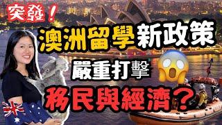 澳洲即將推出嚴重打擊移民與經濟的新政策⁉️HK Stream 會受影響嗎 #移民澳洲 澳洲留學 #澳洲移民