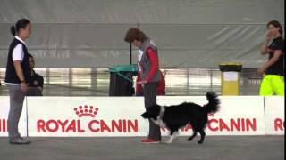 World Championship Obedience Fedorova Desh part 2