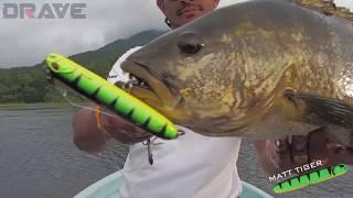 DRAVE ONE-R SERIES 2018 | GUERRERO115 MATT TIGER BLACKBASS