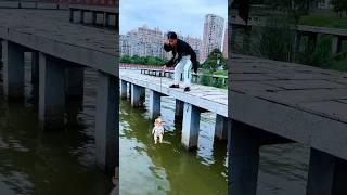 Amazing Stick New Viral Gadgets, Smart Appliances, Kitchen Utensils/Home Inventions #shorts