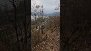 푸르른 저 별빛도 외로워라 너무도 아름다운 가사에 맘이 설레이는 감사한 아침입니다 #조영남 #쎄시봉 #제비 #shorts #윤여정