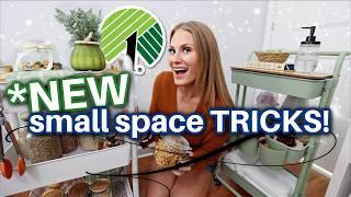 You're MISSING these DOLLAR TREE ORGANIZING tricks  small space secrets 