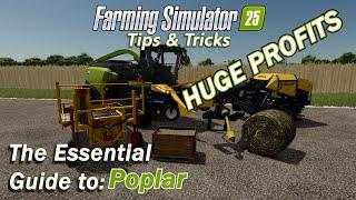 The Essential Guide to Poplar in Farming Simulator 25