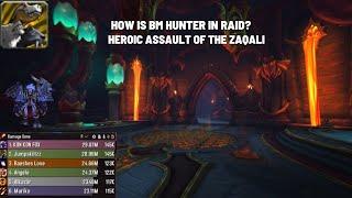 How Is BM Hunter DPS Buff In Raid? Heroic Assault Of The Zaqali. 10.1 #WorldofWarcraft #Dragonflight