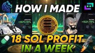 How I Made 18 SOL Profit in a Week! Solana Meme Coin Copy Trading Results Proof Trojan Bot Zelfiguru