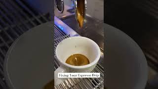 Espresso Shot Extraction Fixes