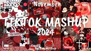 Tiktok Mashup November 2024 (Not Clean)