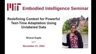 Sharut Gupta - Redefining Context for Powerful Test-Time Adaptation Using Unlabeled Data