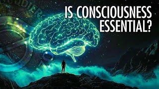 Is Consciousness a Field? | Robert Lawrence Kuhn