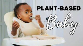 What My Plant-based Baby Eats in a REALISTIC Day + Health Tips + Recipes