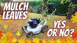 Can You MULCH Autumn Leaves Into YOUR LAWN?