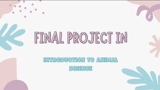 GROUP 6 (final project)