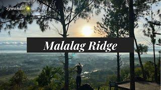 Let nature speak for your peace | Malalag | Sywander