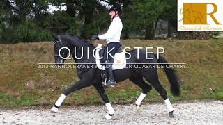 SOLD!! Dressurpferd - 2012 Hann. Wallach von Quasar de Charry, ca. 1,69,  Dressurpf. L  - Quick Step