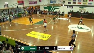 Waverley Falcons vs Pelita Jaya - Game Highlights