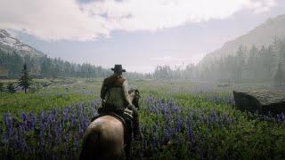 Red Dead Redemption 2: Stunning 4K 60FPS Pure Gameplay (No Commentary)