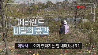 에버랜드 비밀의 숲 포레스트 캠프  요정 이상화프로와 산책(이 아니라 현장점검..)│이박사와 일하는 사람들 ③