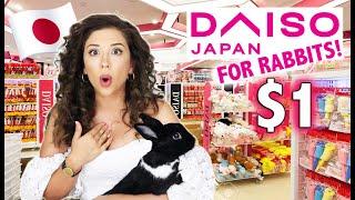 JAPANESE DOLLAR STORE FOR RABBITS SHOPPING SPREE!