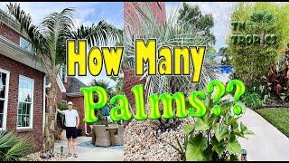 How Many Palms?