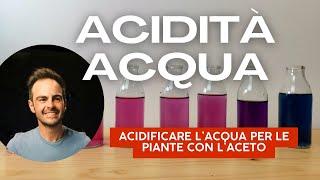 L'esperimento che ti sorprenderà: acqua, aceto e pH