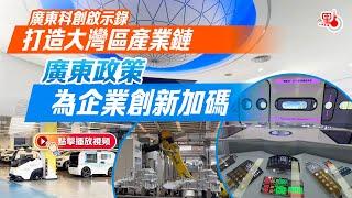 廣東省為大灣區企業創新提供哪些政策便利？What policies does Guangdong offer to enterprises in the GBA？#china #大灣區