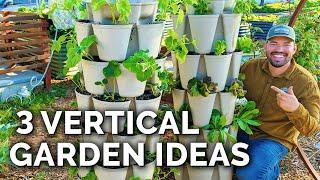 Grow THESE 3 Veggies in Your Vertical Garden