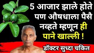 ही 2 पाने खाणारा आयुष्यभर निरोगी राहील|Health tips: Boost Your Wellness & Energy|आरोग्य