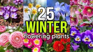 25 Best WINTER Flowering Plants | Flowering Plants that grow in Snow | Rare Flowers