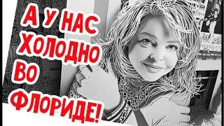 Где мои валенки? #натальяфальконе #сша