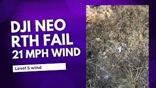 DJI Neo failed to Return to Home in strong wind