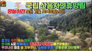 경기도 우수 캠핑장으로 선정된 국립산음자연휴양림 야영장, 숙박시설, 숲치유, 숲해설 모든 것을 보여드립니다 (ft. 애견동반펜션, 운동장)