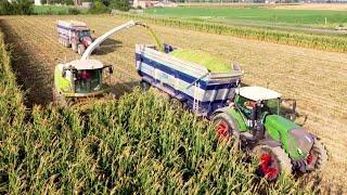 Trinciato mais biogas | Chopping & packing corn silage - Claas Jaguar 990, Fendt 930, McCormick x8