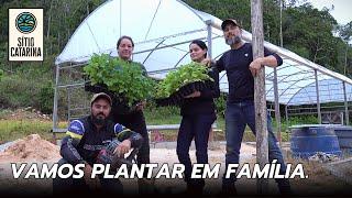 Começamos plantar as FRUTAS VERMELHAS! ep. 08