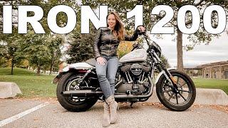 2021 Harley Davidson Iron 1200 Sportster Test Ride | Best Beginner Bike?