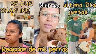 SHARLINE SE FUE/ ORGANIZAMOS UN POCO MÁS/ GAIA NO PARÓ DE LLORAR/ REGRESO A SEATTLE