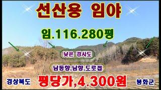 물번.406번) 대형임야,116.280평 엄청 싼평당,4.300원 시멘트도로접,지적도상의 도로접,남서향,남향,남동향,선산용임야,농림지역,임업용산지,소하천구역,매매가,5억원에 착함