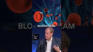 What Your Post-Meal Glucose Levels Can Tell You | Dr. Rob Lustig, MD