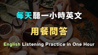 沉浸式英文聽力｜每天跟老外學會話｜一問一答｜每天必用英文｜每天堅持聽一小時，英文聽力暴漲｜進步神速的英文訓練｜English Listening Practice｜英文初級聽力｜高效學英文｜英文口語