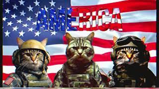 Cat Army #memes