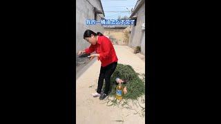 #快速成长计划 #影画演绎未来之星 #青姐爱搞笑