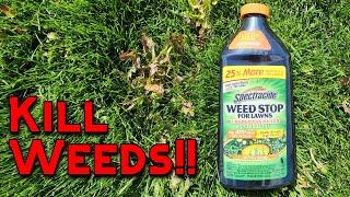 Kill Weeds in Your Yard