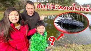 สัตว์ประหลาดในบ่อน้ำบ้านแกรนมัม ️ EP 1 แมวทอมมี้หายไปไหน? Pond Monster