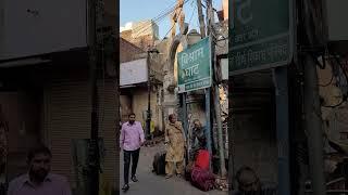 Day 11 Aaj Vishram Karne Vishram Ghat Pohoch Gaya.. #ytshorts #mathura  #vishramghat