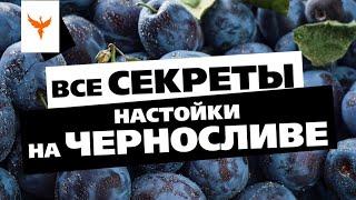 рДЖ 73: Все секреты настойки на черносливе. Какой, сколько и как? Лучше с косточкой или без?