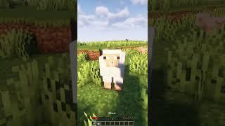 Who feeds these sheeps?  #shorts #minecraft