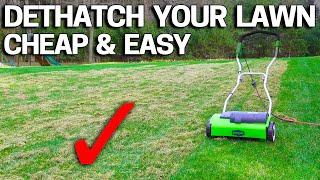 How to DETHATCH an UGLY LAWN - CHEAP