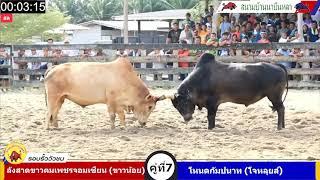 ลังสาดขาวคมเพชรจอมเซียน ขาวน้อย VS โหนดกัมปนาท โจหลุยส์