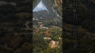 [1분힐링타임] 잔잔한 음악과 영상  #1분힐링   #자연힐링 #healing