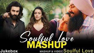 Soulful Love Mashup | The Love Mashup 2024 | Soulful Love | Best Of Love Masshup 2024